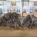 꽃돌농장 이미지