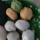 왔다떡방 이미지