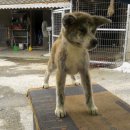 로미&줄리 이미지