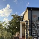 선흘 정원 | 제주 동쪽 아기랑 숙소 거문오름 선흘집펜션