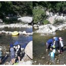 계곡캠핑펜션 이미지