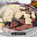 부산양곱창내외점 | 부산 남포동 야장 맛집 부평 깡통시장에서 꼭 가봐야할 부평양곱창 내돈내산 후기