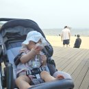 햇살자연어린이집 | 아기 빨대컵 추천, 외출부터 어린이집 준비물로 딱인 [모브아 빨대컵] 솔직 후기