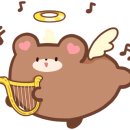 카리언 뷰티 클리닉 이미지