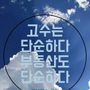 노른자부동산공인중개사사무소 이미지