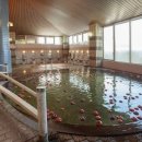 애플랜드 이미지