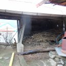 유구읍사무소 이미지