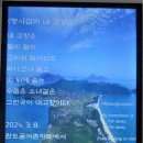 완도곰 | 내고향