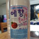 PET.꾸밈 이미지