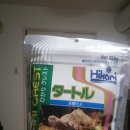 터틀크레스트