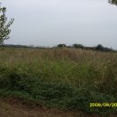 비봉인공습지 이미지