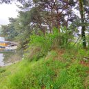 유양식선생묘 이미지