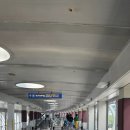 83 | 에어프레미아 다낭 직항 좌석 간격 83cm 기내식 비빔밥 솔직 후기