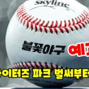 &#34;벌써 두근두근&#34; 야구 전설들이 대전에 온다... 불꽃 파이터즈 대전서 첫 경기 이미지