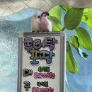 예전추어전문점 이미지