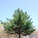 난곡병설유치원 이미지