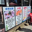 장제로 730번길 | 내돈내산 계양구 룸식당 어촌회마을에서 대게, 랍스타
