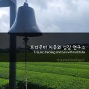 트라우마치유와성장연구소