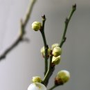 서운근린공원 이미지