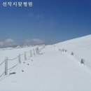 강산 이미지