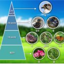 FunFun북아트 이미지