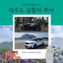 알짜 여행영어 | 제주도 승합차 투어 기사포함 자유일정 차없이 편한 제주여행
