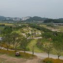 시흥 갯골생태공원 이미지