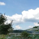 고향 강변의 코스모스와 거대물레방아 이미지