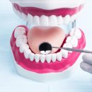 맘애든어린이치과의원 이미지