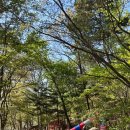 그늘막103 이미지