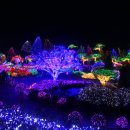 별빛정원B 이미지