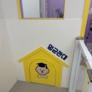 청 애견미용 이미지