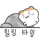 은사시 캠핑장 이미지