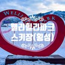 둔내로35 | 웰리힐리 파크 스키장, 렌털 ·스키강습 실시간 후기! 리프트권 할인, 횡성 가볼 만한 곳 완벽 정리
