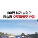 테슬라 네이버 카페에 올라와있는 회피기동 짤.gif 이미지