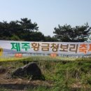원이조 이미지
