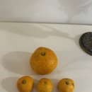 유수암길 이미지