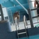 해마루공원로1L-1 | 251102 첫 수중촬영 후기 ♥ #부산 #물빛색스튜디오 #인어 #요정 #컨셉