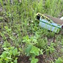 서울종묘사 이미지