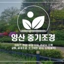 [양산 조경] 빌라, 주택단지 위험목 제거 후기 (주택, 빌라단지 벌목)