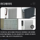 캐릭터궁전 | 영국 런던 (3): 버킹엄궁전 근위병 교대식, 빅벤, 애프터눈티, 런던아이 (250120)