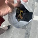 GS25중동타운점 이미지