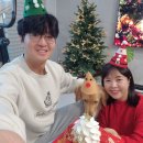 골든빌리지프렌즈 | [충남 반려견 독채 펜션] 프렌즈애견빌리지 너무 좋잖아!