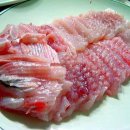 홍어사랑 이미지