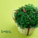 삼고경로당 이미지