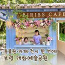 보령 아이와 가볼만한 곳 개화예술공원｜동물·전시·카페까지 한 번에!