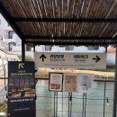 칙칙폭폭 | 에코랜드 테마파크 제주 동부 가볼만한곳 : 칙칙폭폭 숲 속 기차 여행!