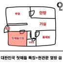 라세나헤어