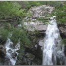 동진주유소 이미지