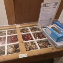 압구정-111 | 사바비안 압구정점| 서울 예신 다이어트 웨딩관리 후기